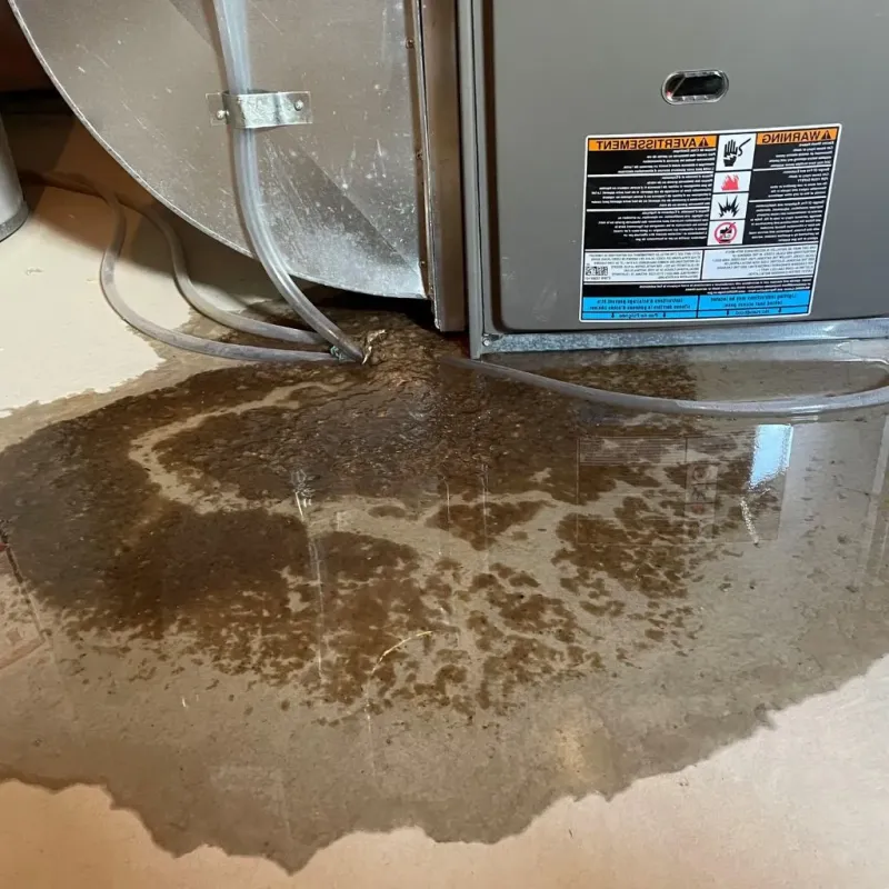 Pipe Burst and Leak Restoration in Falls Church, VA